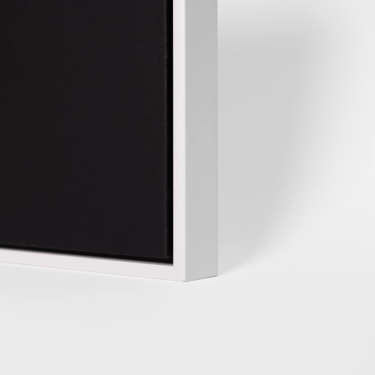 floating frame canvas