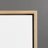 FLOATING FRAMES WITH PRIMED CANVASE001 (60) Clean canvas