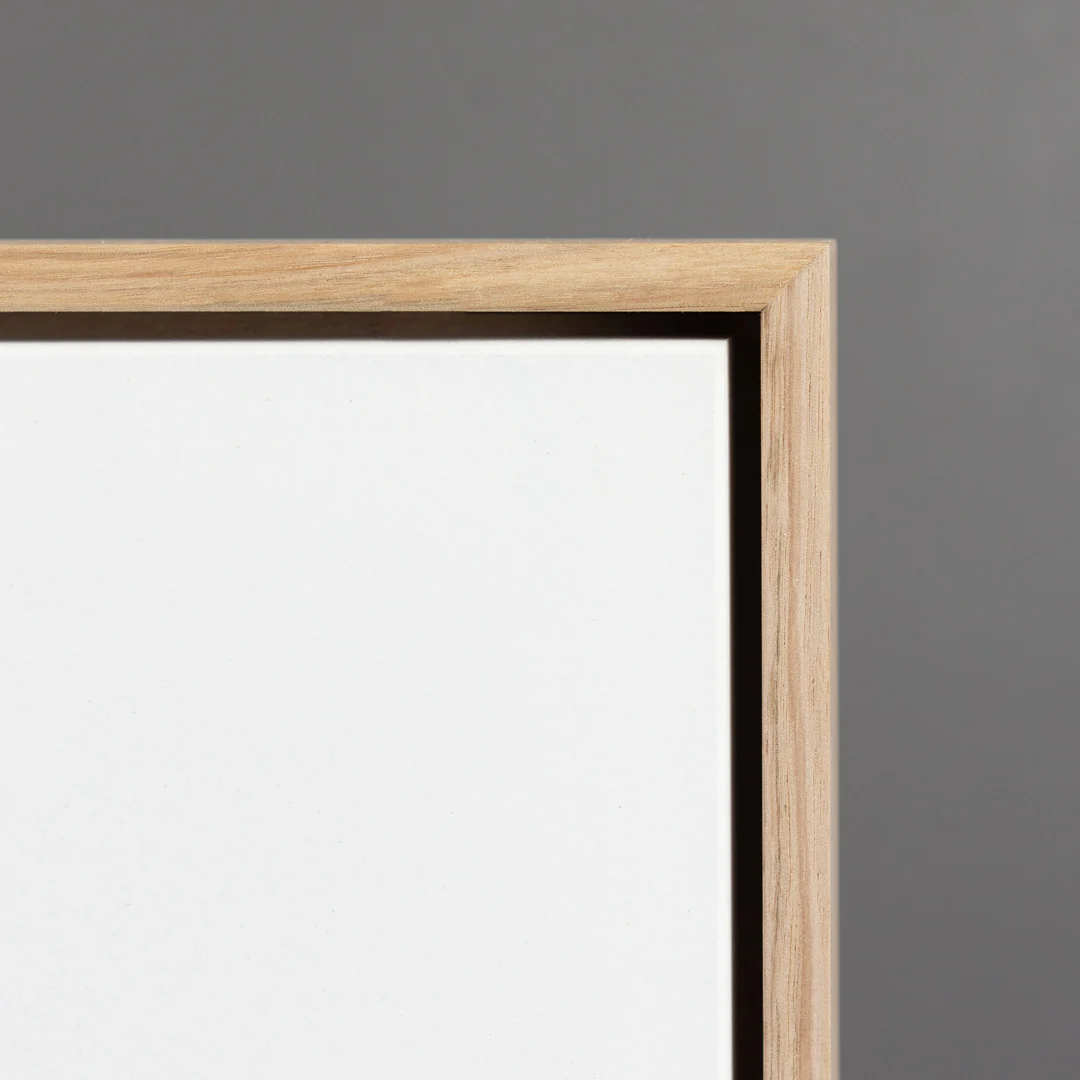 FLOATING FRAMES WITH PRIMED CANVASE001 (60) Clean canvas