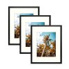 premium canva