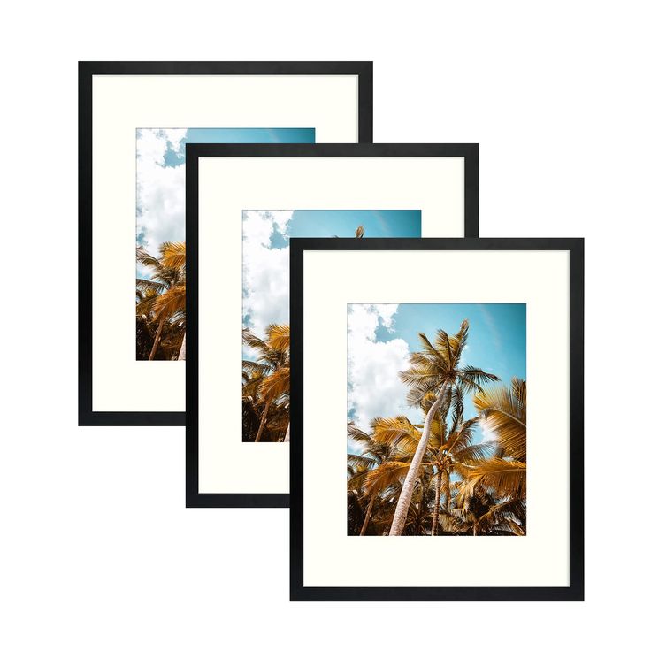 premium canva